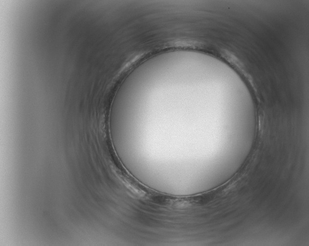 X0000080170249200612302226