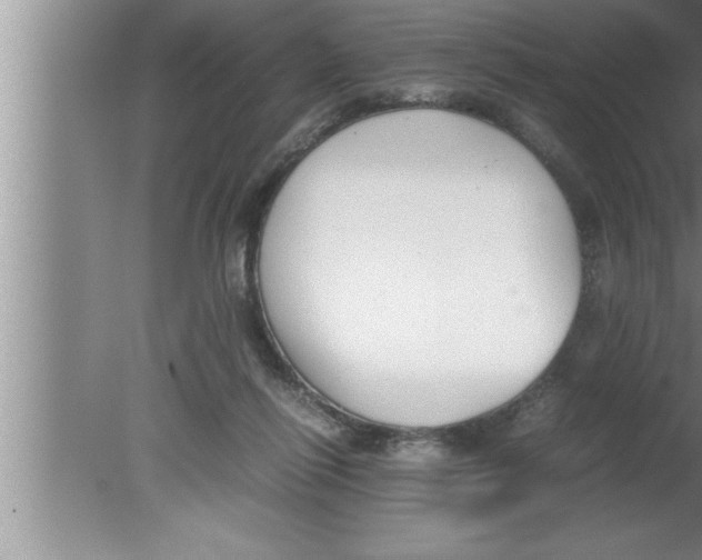 X0000080170262200612302227