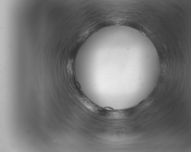 X0000080170286200612302227
