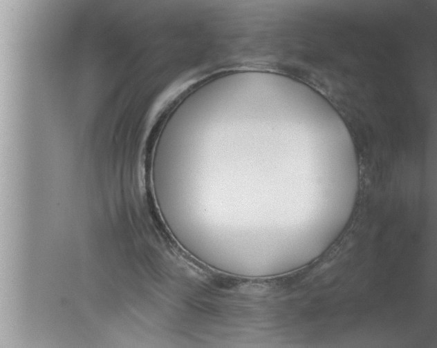 X0000080170294200612302226