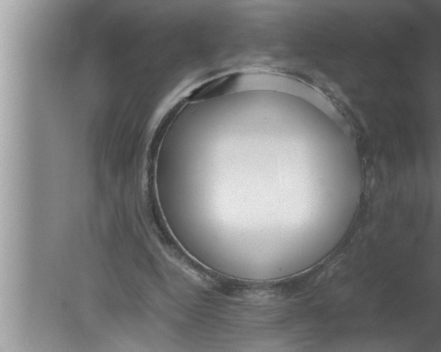 X0000080170344200612302225