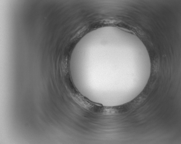 X0000080170376200612302225