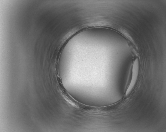 X0000080170389200612302225