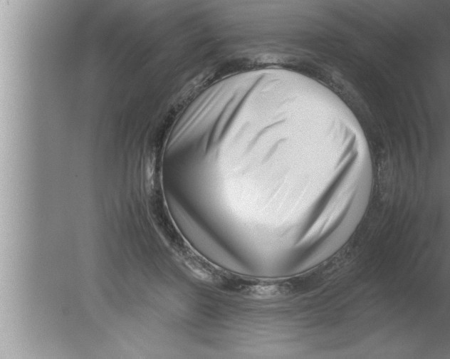 X0000080170406200612302224