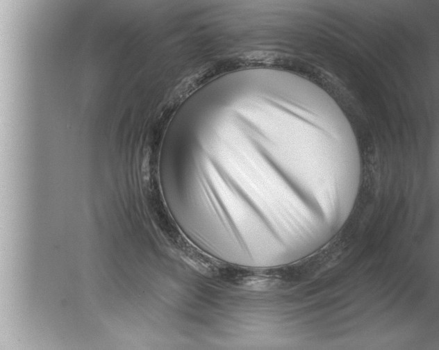 X0000080170504200612302223