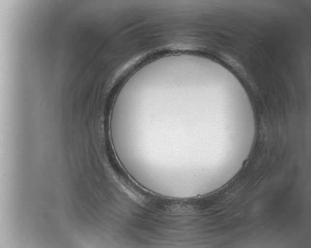 X0000080170535200612302222
