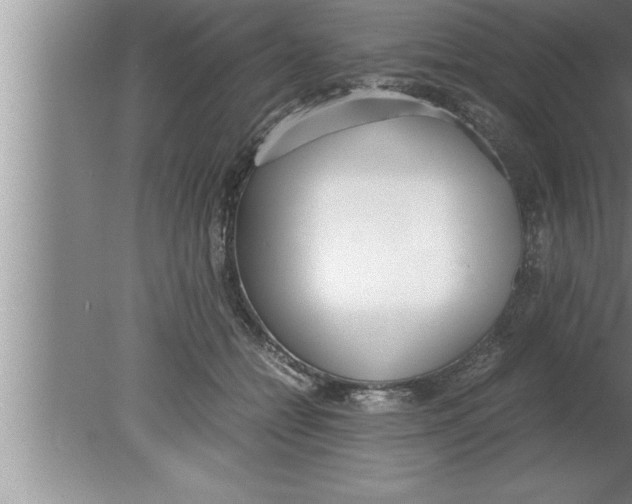 X0000080170558200612302222