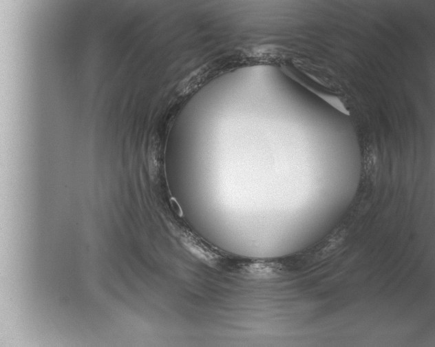 X0000080170566200612302222