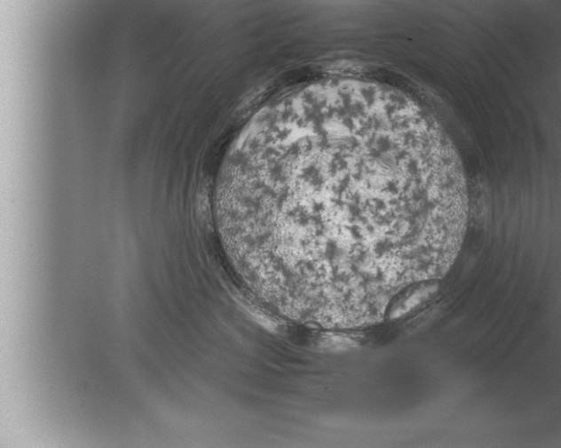 X0000080170573200612302222