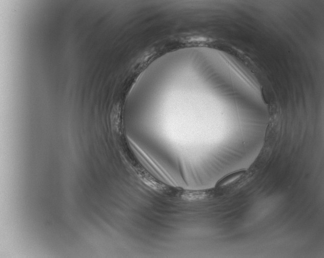 X0000080170767200612302219