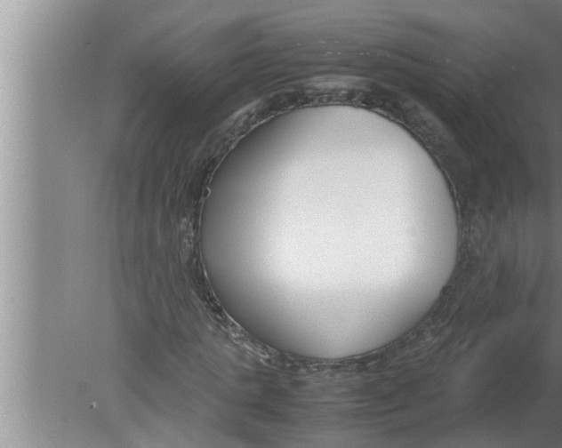 X0000080170821200612302217