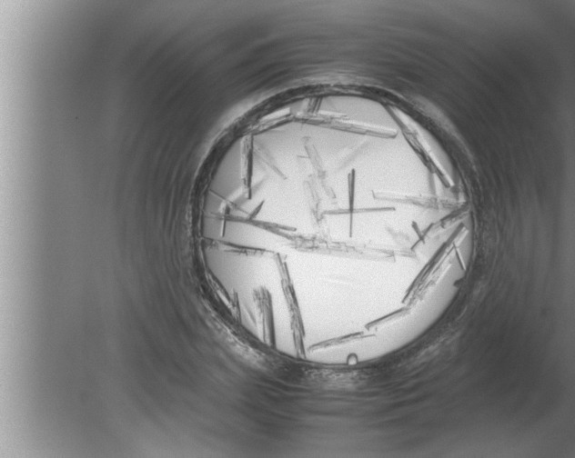 X0000080170831200612302217