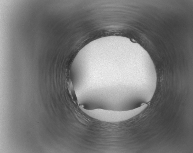 X0000080170868200612302217