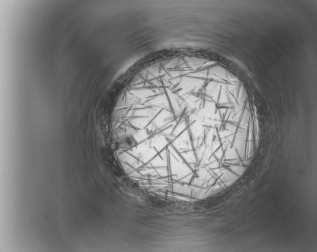 X0000080170871200612302217