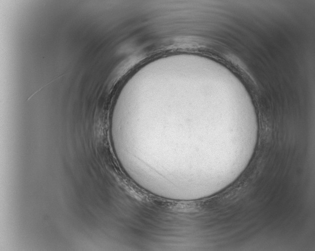 X0000080170874200612302216