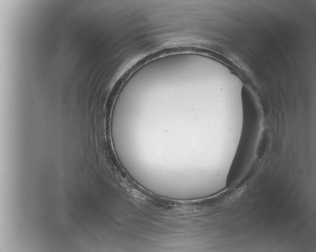 X0000080170877200612302216