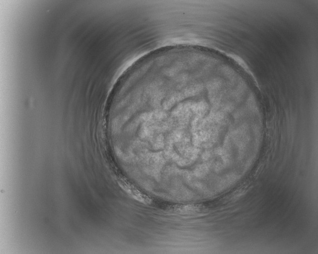 X0000080170879200612302216