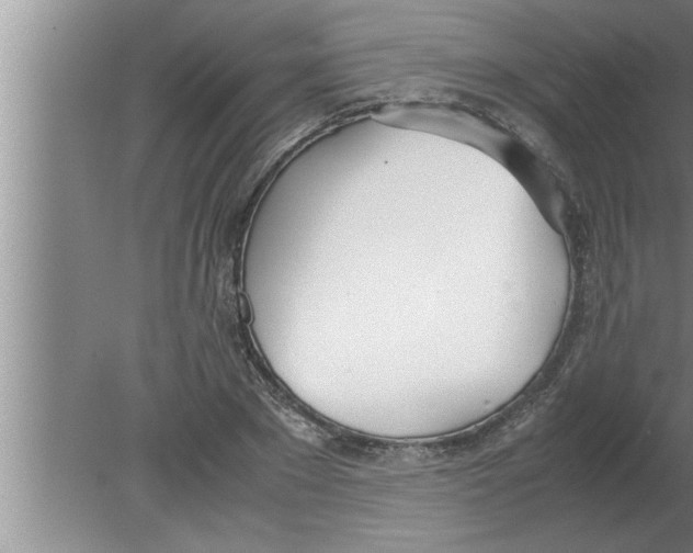 X0000080170881200612302216