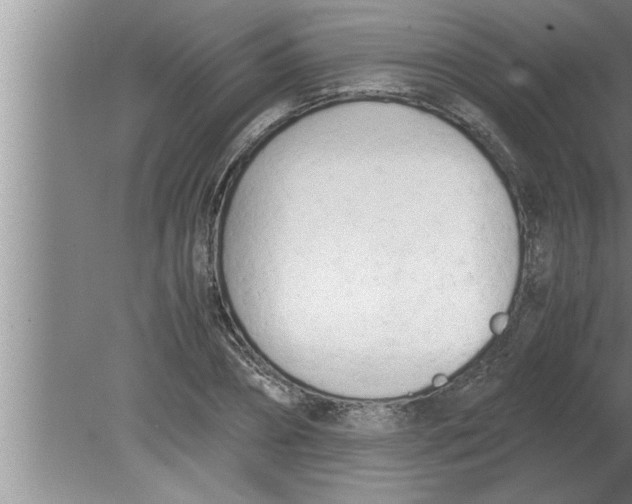 X0000080170882200612302216