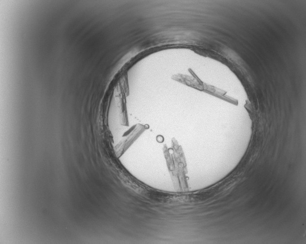 X0000080170883200612302216