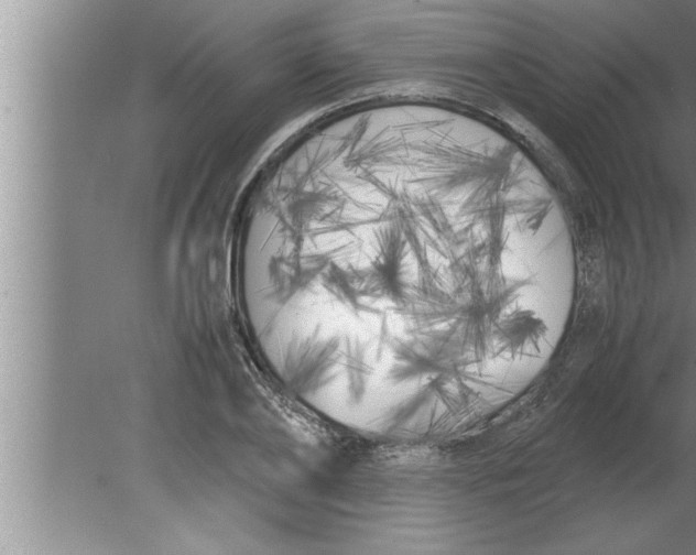 X0000080170886200612302216