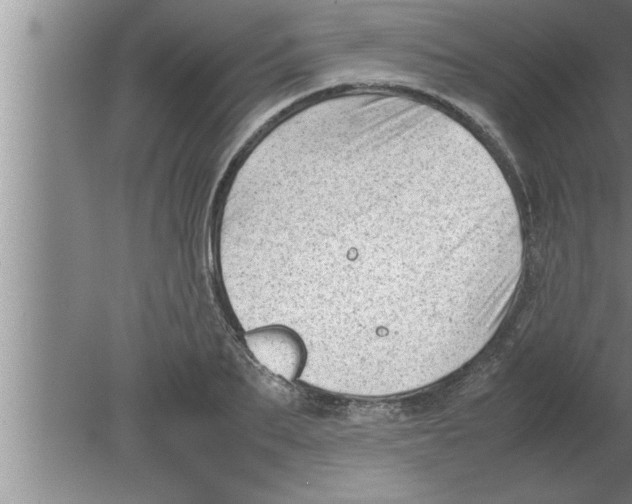 X0000080170887200612302216