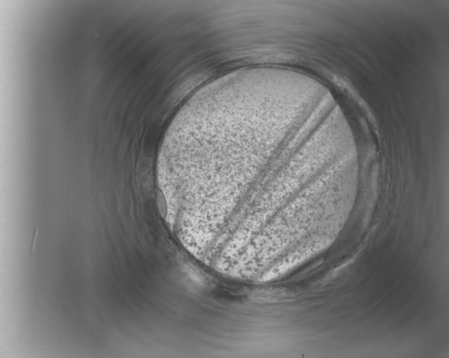 X0000080170889200612302216