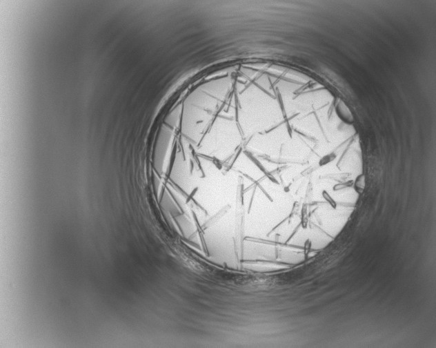 X0000080170891200612302216