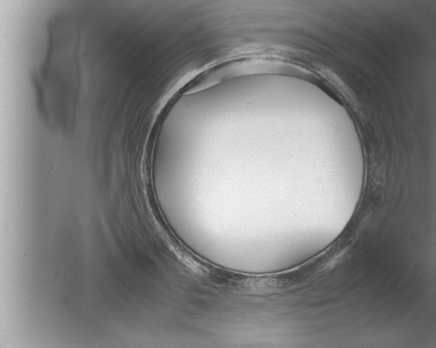 X0000080170893200612302216