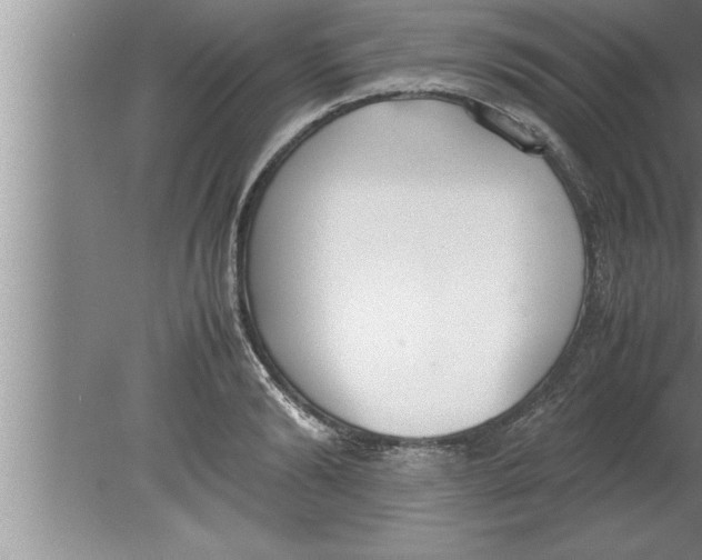 X0000080170894200612302216