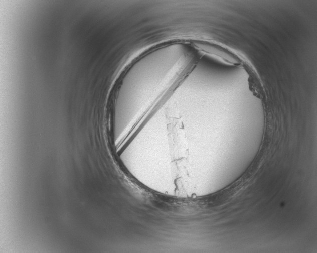 X0000080170895200612302216