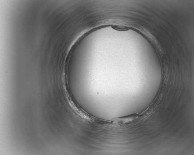 X0000080170896200612302216