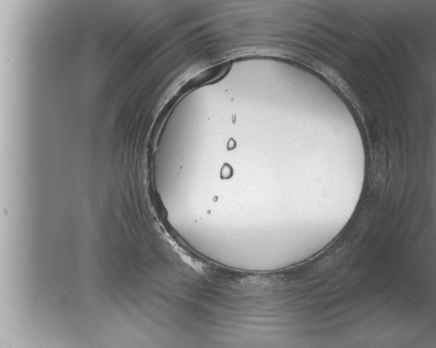 X0000080170898200612302216