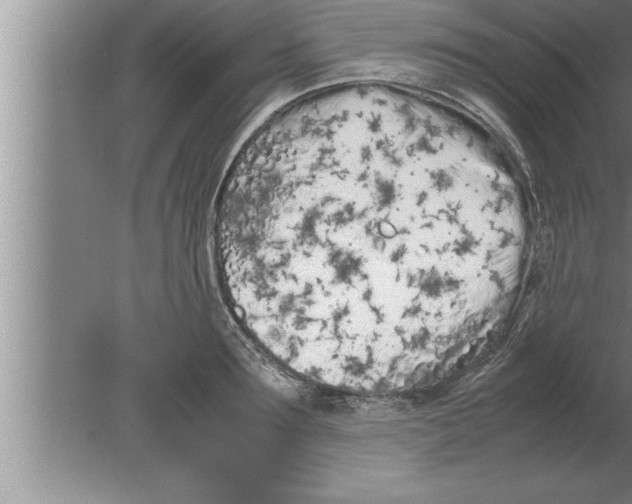 X0000080170899200612302216