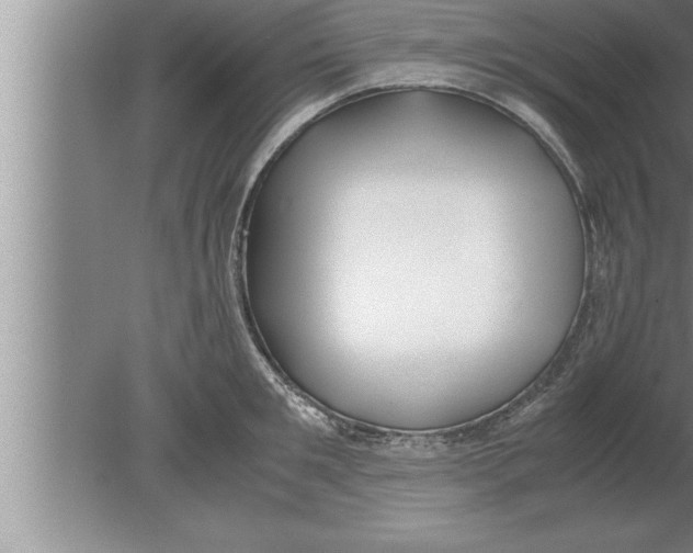 X0000080170901200612302216