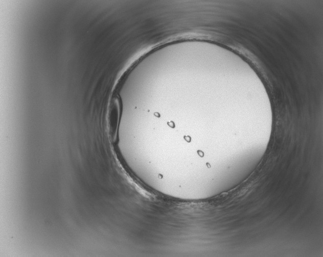 X0000080170902200612302216