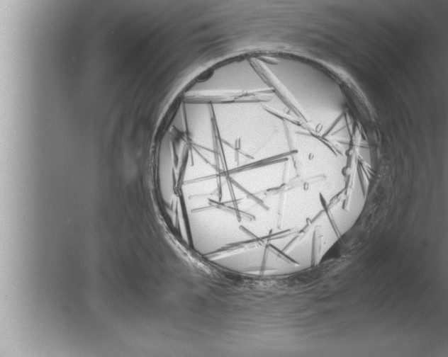 X0000080170903200612302216