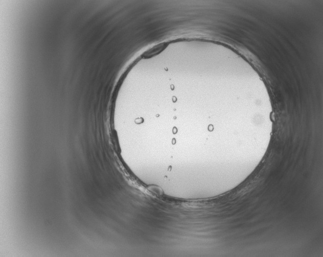 X0000080170904200612302216