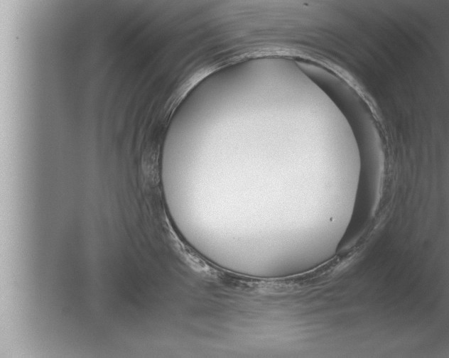 X0000080170905200612302216