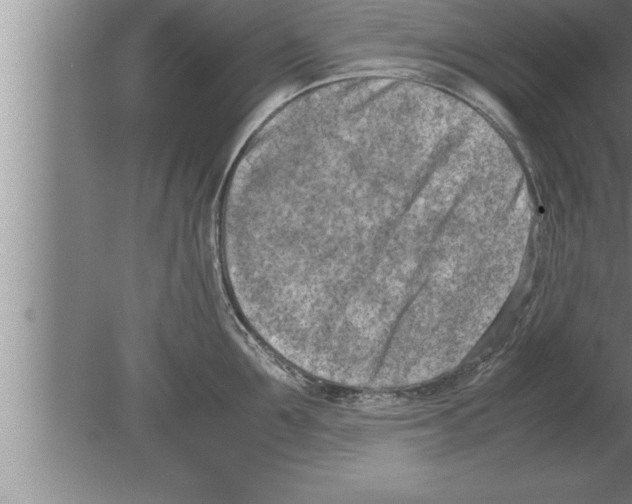 X0000080170907200612302216