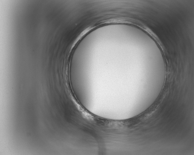 X0000080170909200612302216