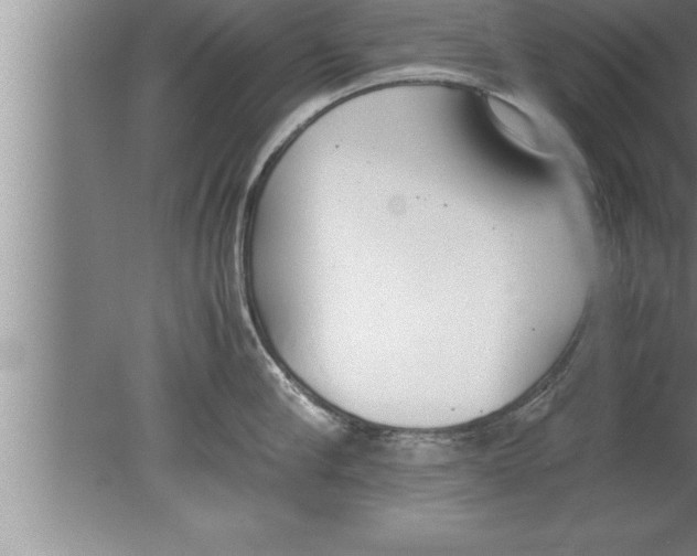 X0000080170910200612302216