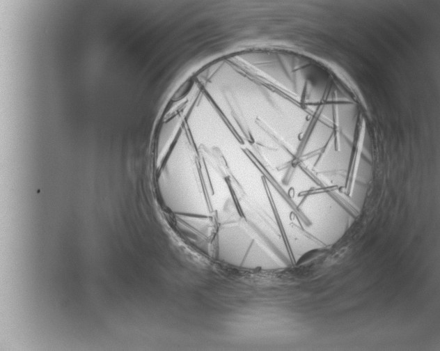 X0000080170911200612302216