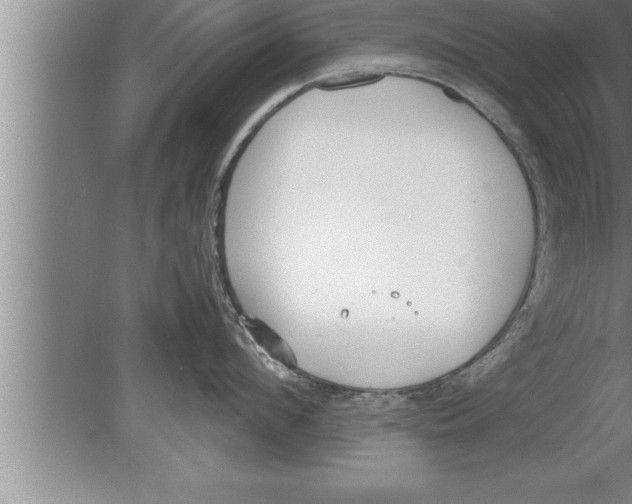 X0000080170912200612302216