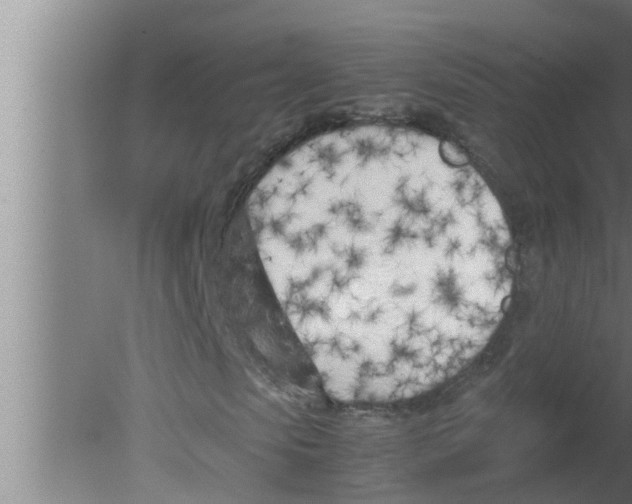 X0000080170913200612302215