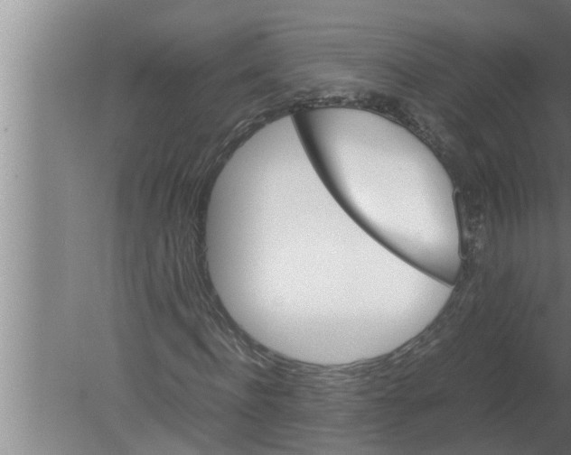 X0000080170916200612302215