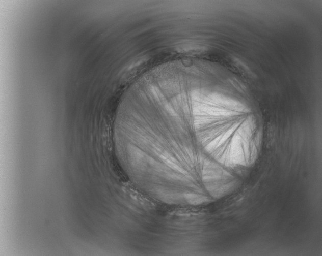 X0000080170917200612302215