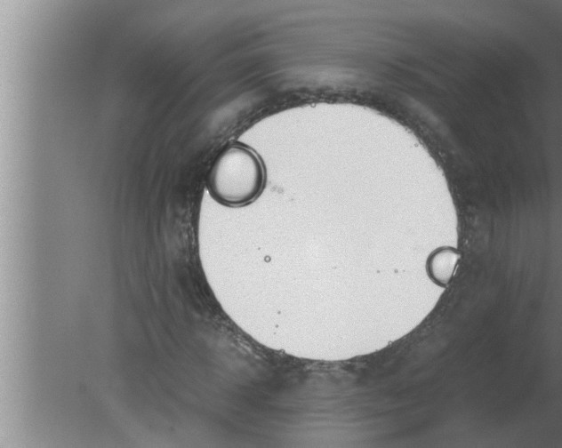 X0000080170918200612302215