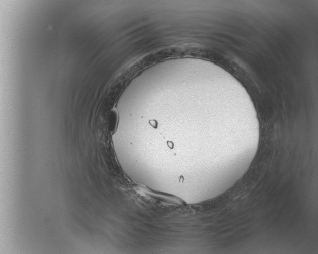 X0000080170919200612302215