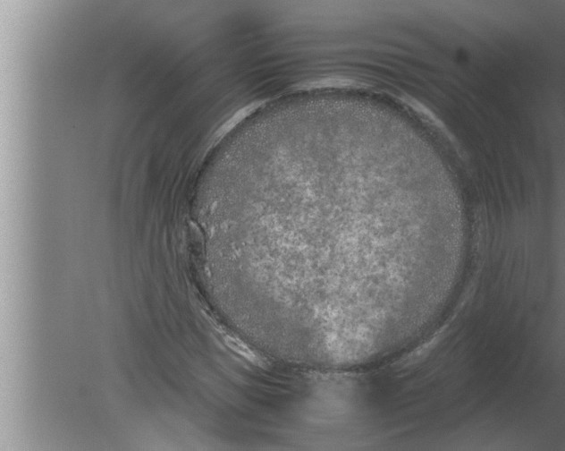 X0000080170921200612302215